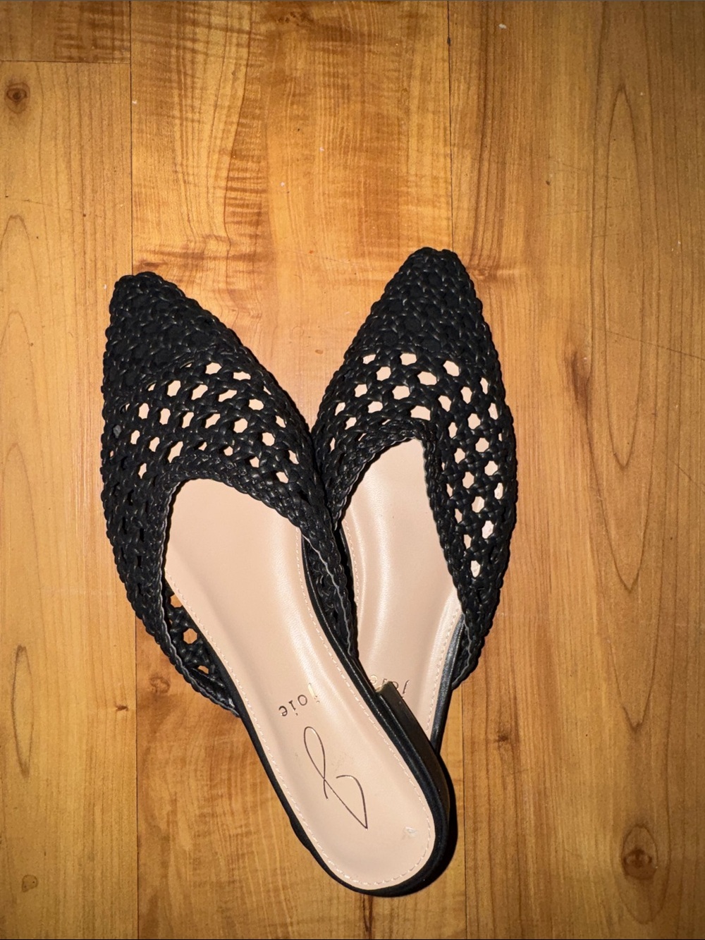 Joie Black Woven Pointed Mule Flats(12)